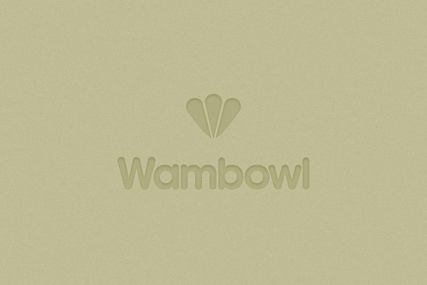 Wambowl Identity - Web